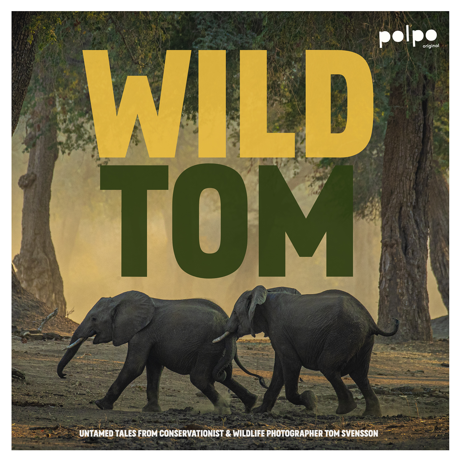 Wild-Tom-1500×1500-1