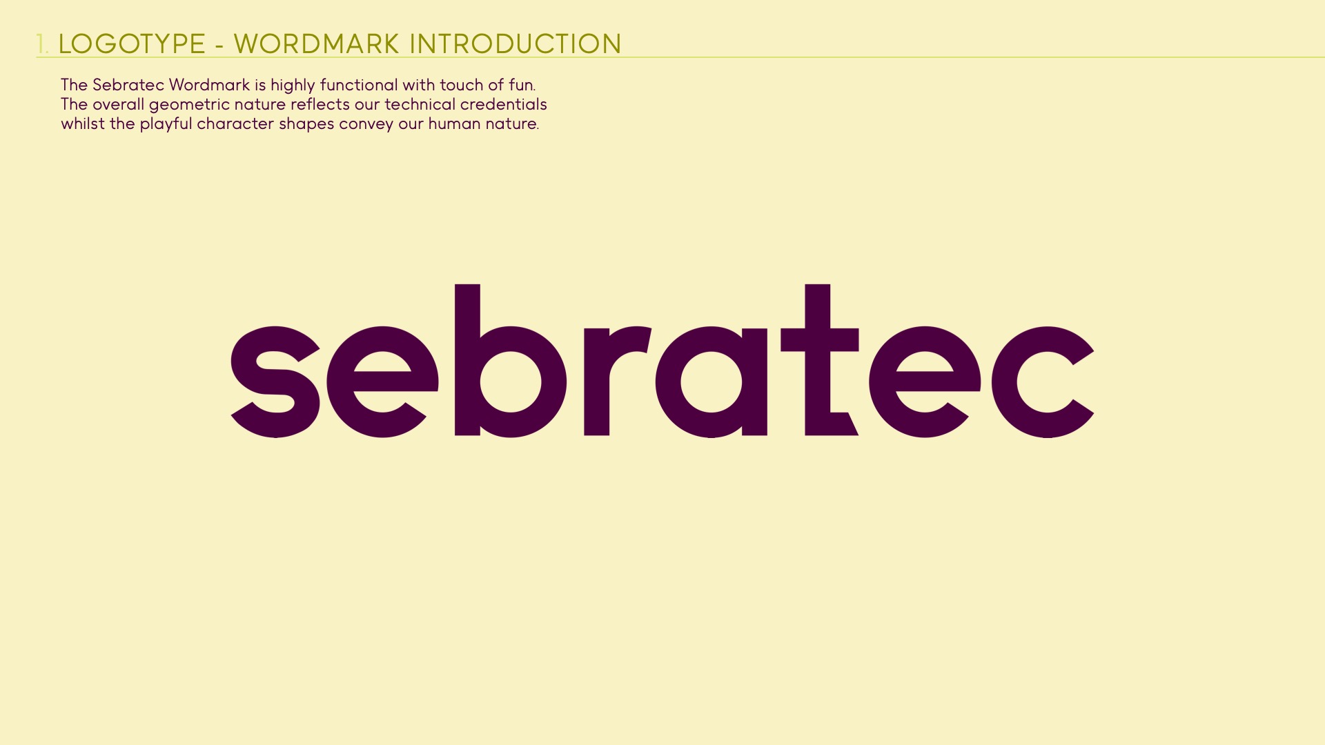 Sebratec Brand Guidelines 5