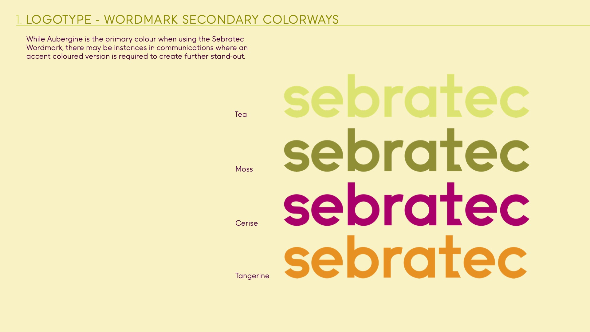 Sebratec Brand Guidelines 7